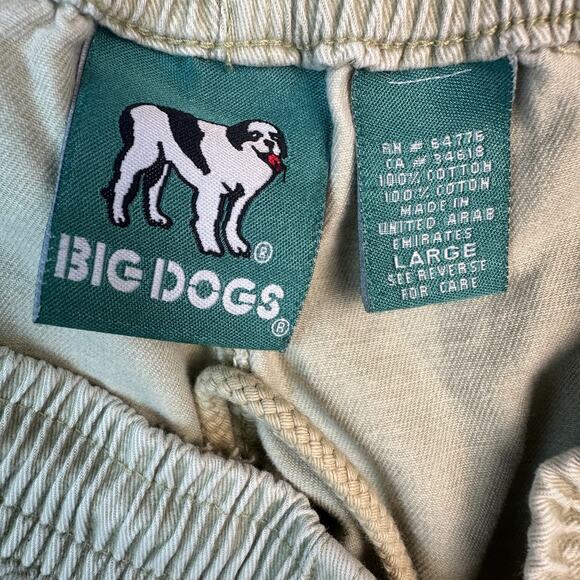 Vintage 90s Y2K Big Dogs Dad Shorts Mens L Khaki Cargo Outdoor Casual Men Soft - Picture 12 of 12